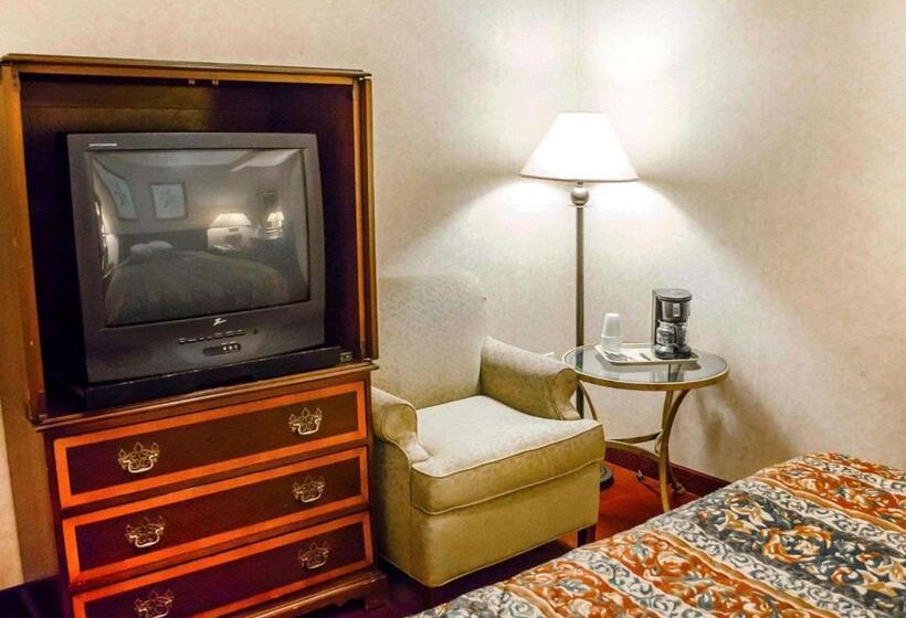 스탠다드 룸 킹사이즈 침대, Rodeway Inn