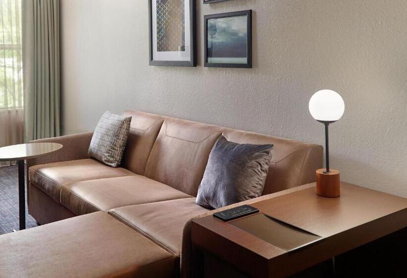 استودیو استاندارد با تخت کینگ, Residence Inn Asheville Biltmore