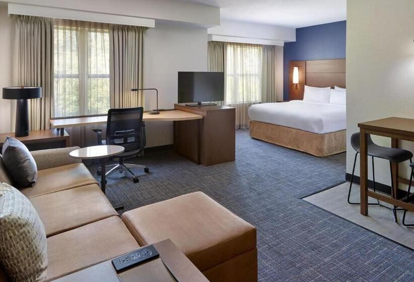 استودیو استاندارد با تخت کینگ, Residence Inn Asheville Biltmore