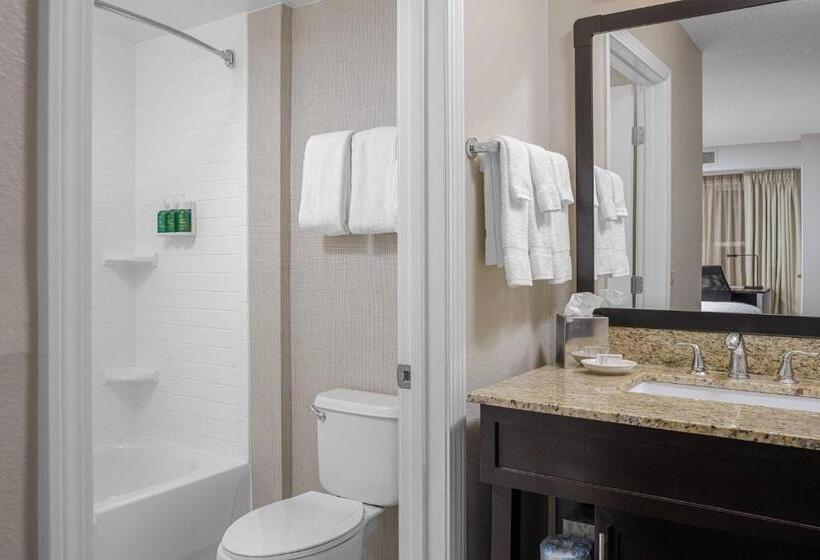 Люкс, Residence Inn Boston Foxborough