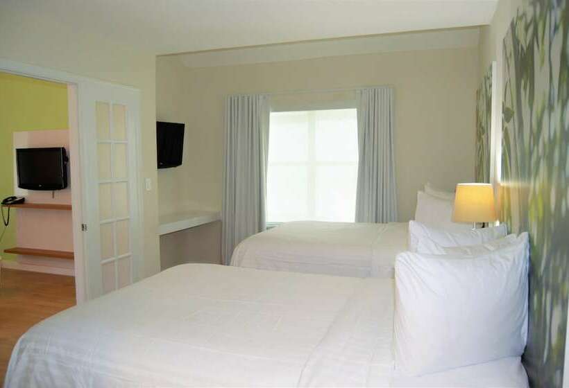 行政套房, Doral Inn & Suites Miami Airport West