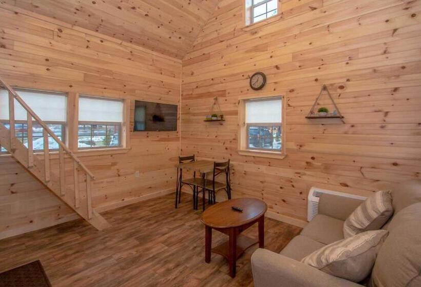 Номер Стандарт, Presidential Mountain Resort