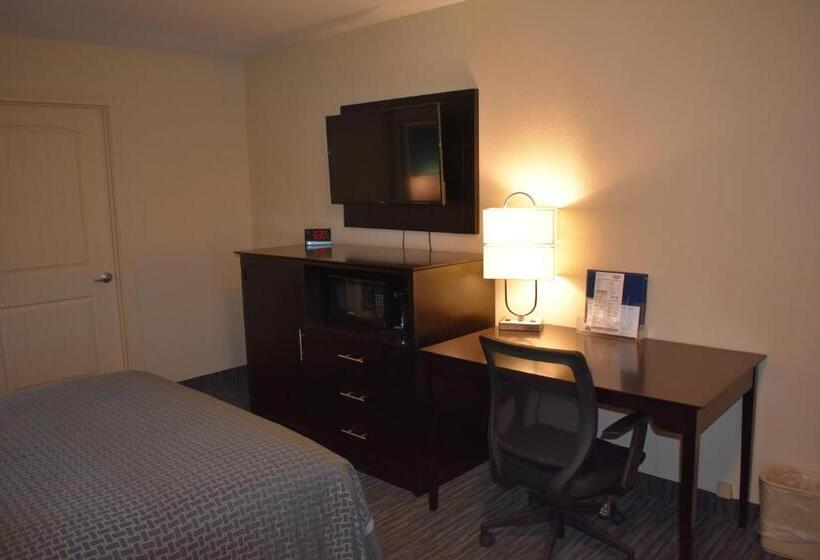 残疾人使用的带特大床的标准间, Best Western Apricot Inn