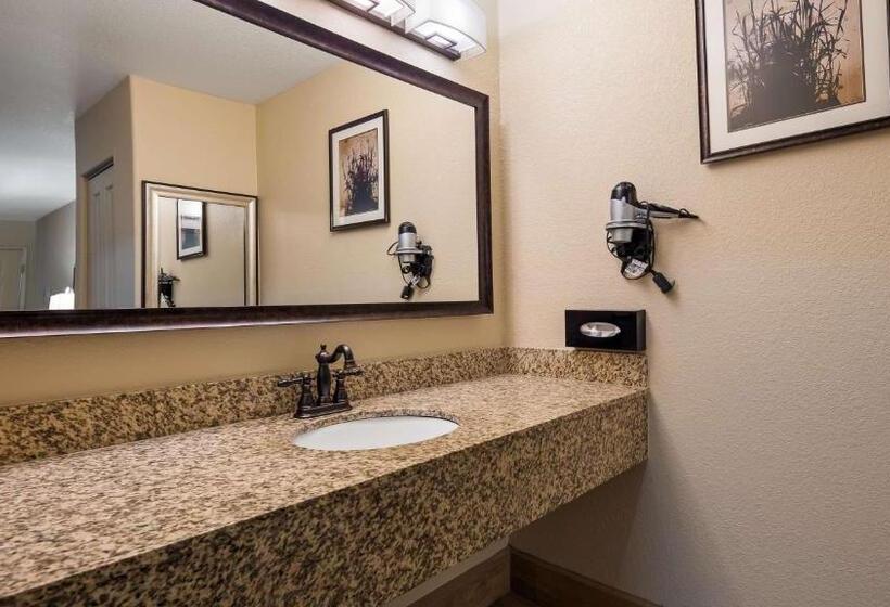 标准间, Best Western Apricot Inn