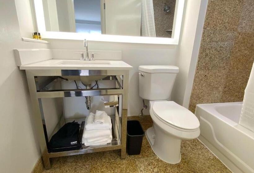 Номер Стандарт, Best Western Plus Sugar Land Stafford