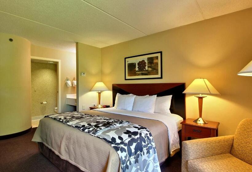 Стандартный Номер Кровать Кинг, Sleep Inn & Suites Of Lancaster County