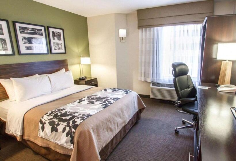 اتاق استاندارد با تخت بزرگ, Sleep Inn North Scottsdale Near Mayo Clinic