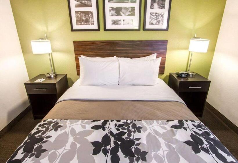اتاق استاندارد با تخت بزرگ, Sleep Inn North Scottsdale Near Mayo Clinic