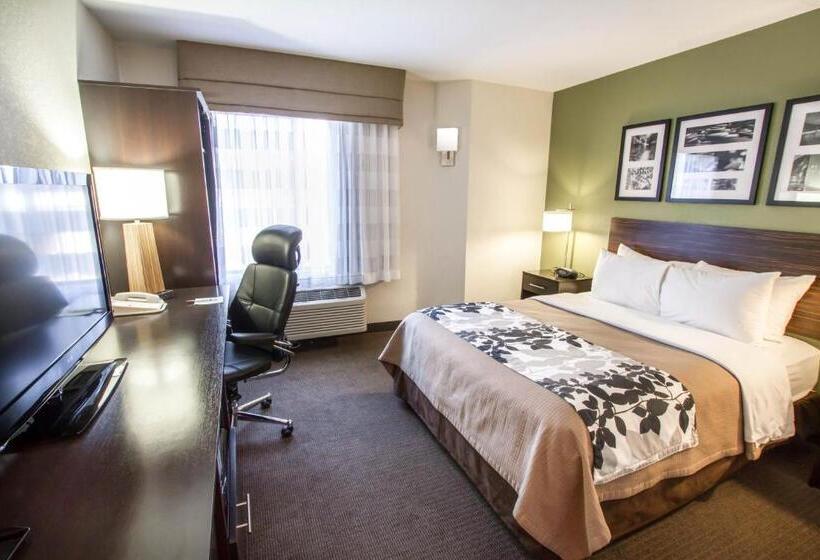 اتاق استاندارد با تخت بزرگ, Sleep Inn North Scottsdale Near Mayo Clinic