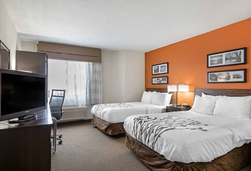 带2个双人床的标准工作室, Sleep Inn Dewitt   Lansing North