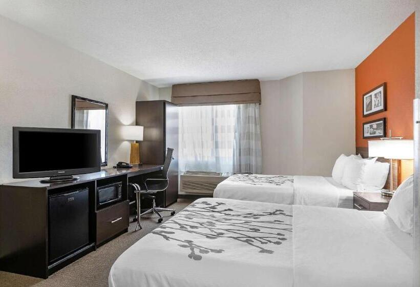 带2个双人床的标准工作室, Sleep Inn Dewitt   Lansing North