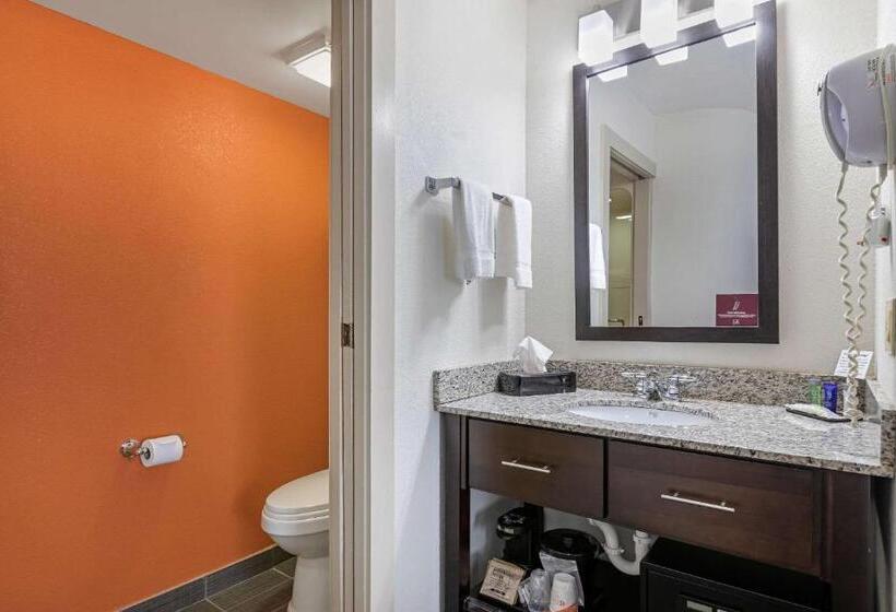 标准间, Sleep Inn Dewitt   Lansing North