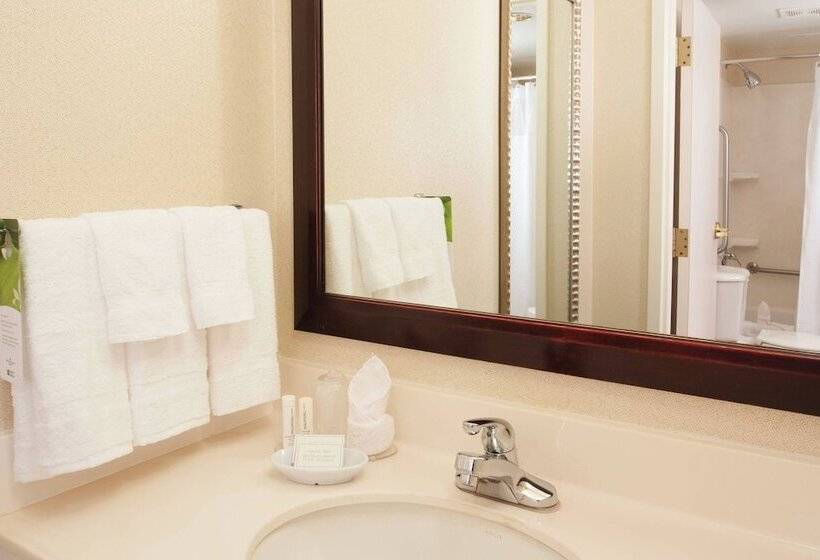 Люкс, Springhill Suites Fort Lauderdale Airport
