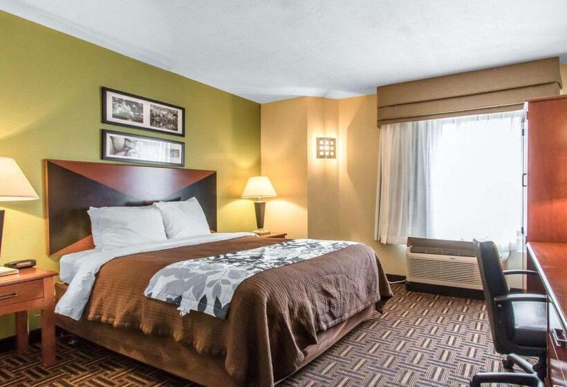 اتاق استاندارد برای معلولان, The Douillet By Demeure Hotels