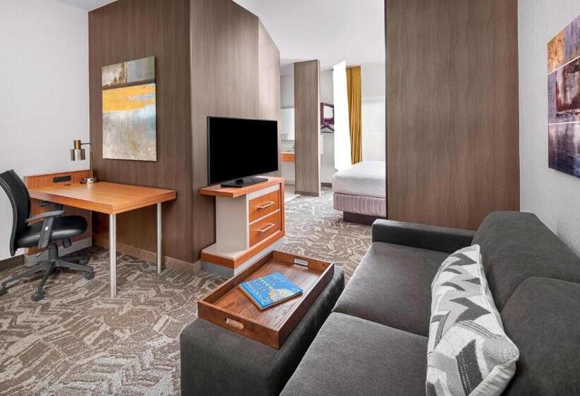带大床的套房, Springhill Suites Scottsdale North