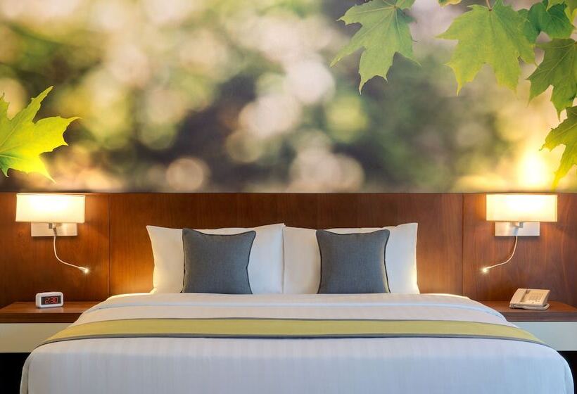 سوییت, Wyndham Garden Muscat Al Khuwair