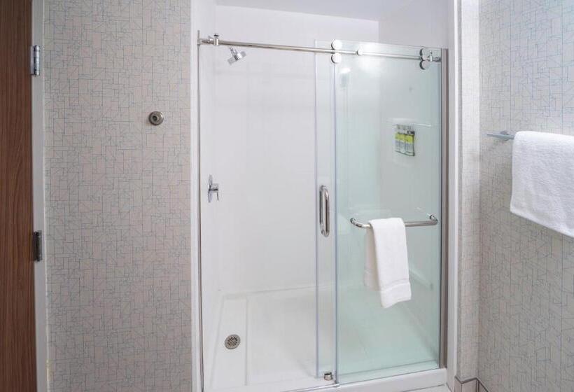 Стандартный Номер Кровать Кинг, Holiday Inn Express   Brevard, An Ihg