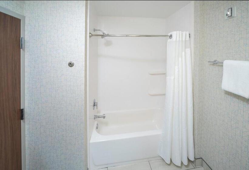 Люкс, Holiday Inn Express   Brevard, An Ihg