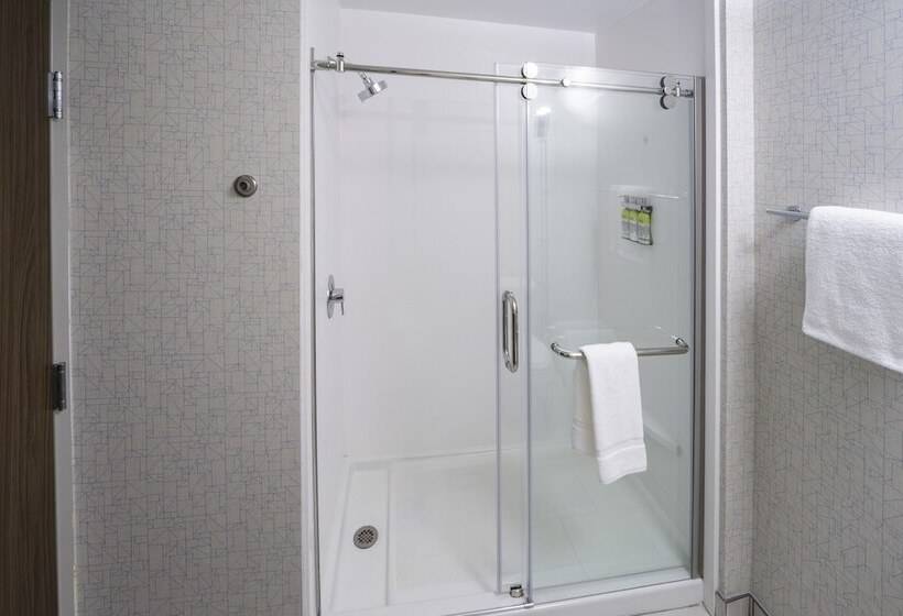 Люкс, Holiday Inn Express   Brevard, An Ihg