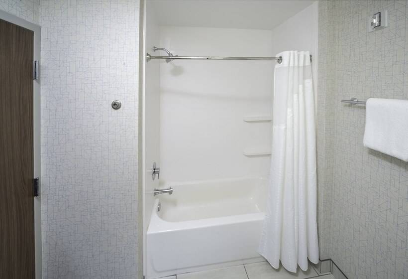 Люкс Адаптированный для Инвалидов, Holiday Inn Express   Brevard, An Ihg