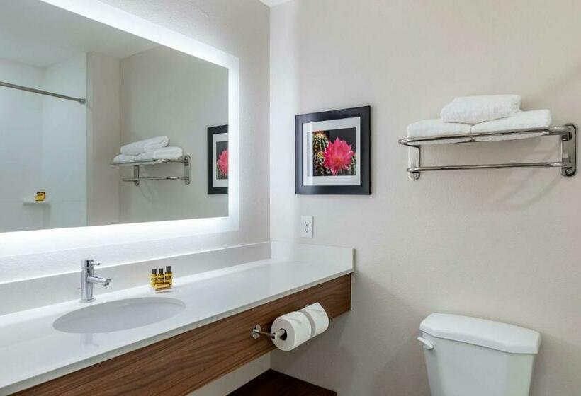 스탠다드 룸, Best Western Plus Desert View Inn & Suites