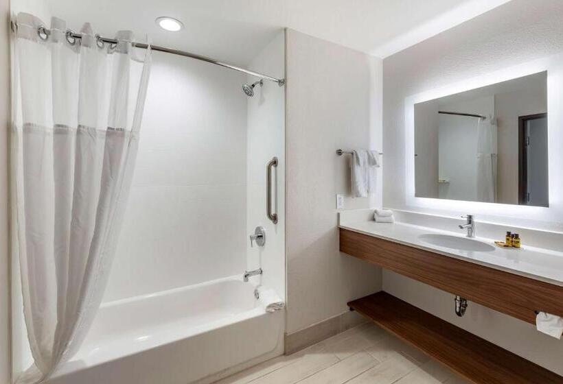 스탠다드 룸, Best Western Plus Desert View Inn & Suites
