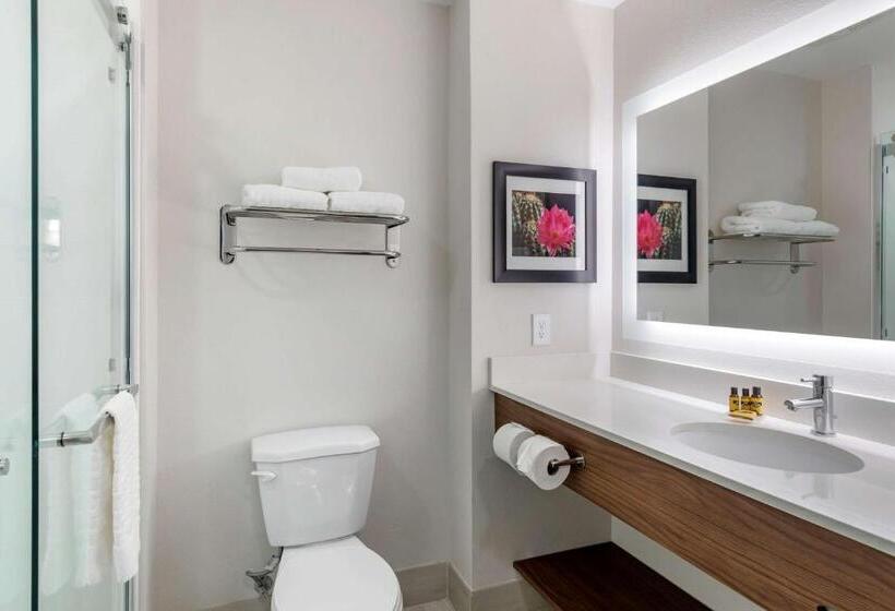 스탠다드 룸 킹사이즈 침대, Best Western Plus Desert View Inn & Suites