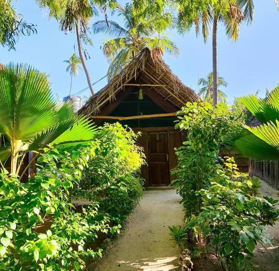 이코노미 룸, Your Zanzibar Place
