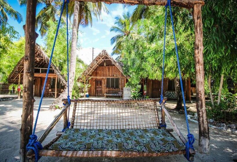 이코노미 룸, Your Zanzibar Place