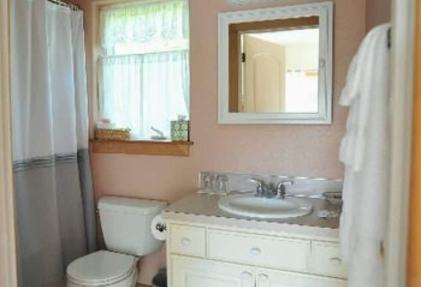스탠다드 룸, Lucky Mud Inn And Disc Golf Resort