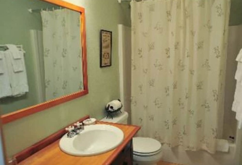 스탠다드 룸, Lucky Mud Inn And Disc Golf Resort