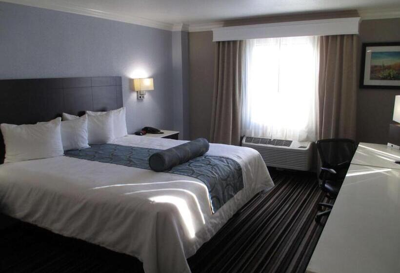 Стандартный Номер Кровать Кинг, Best Western Plus Diamond Valley Inn