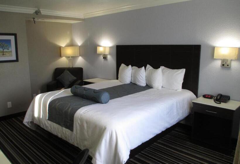 Номер Стандарт, Best Western Plus Diamond Valley Inn
