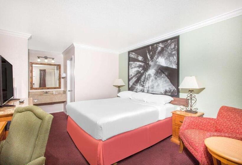 장애인을 위한 스탠다드 룸, Upper Lake Inn & Suites