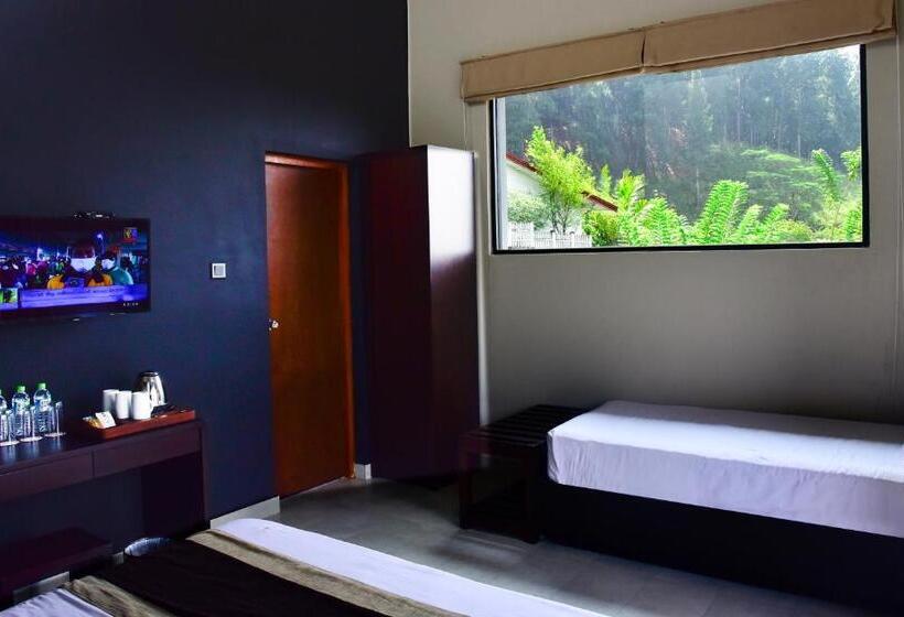 Standard Triple Room with Terrace, Pine Hill Residence