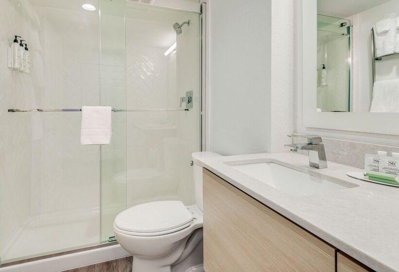 Suite, Towneplace Suites Dallas Arlington North