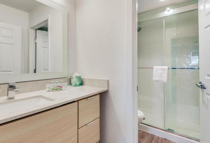 Suite 2 Dormitoris, Towneplace Suites Dallas Arlington North