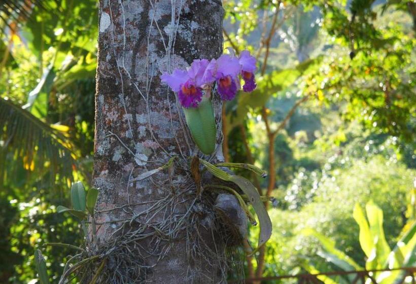 샬레, Cantinho Das Flores