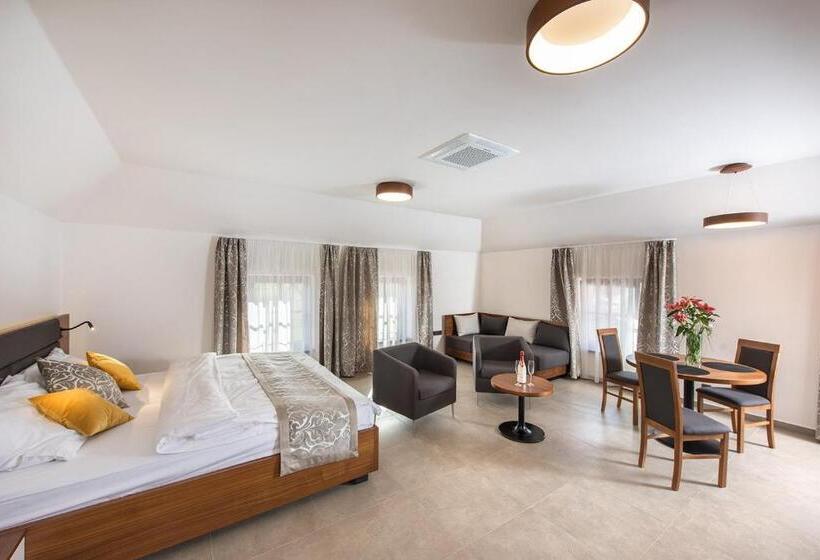 Студия Стандарт, Residence Hluboká