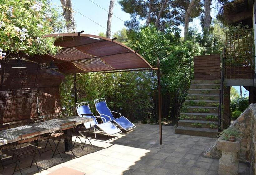 اتاق استاندارد, L àncora De Barà