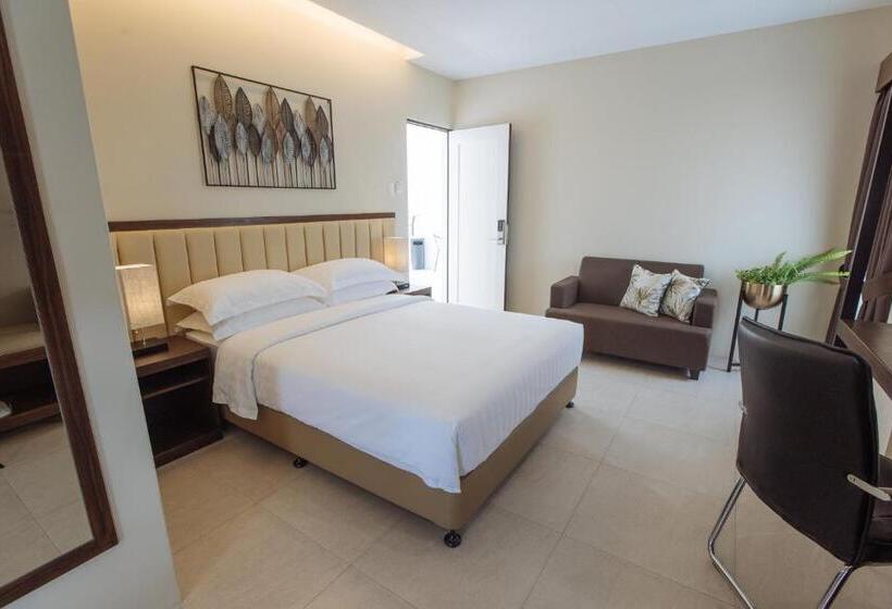 سوئیت با تخت بزرگ, Rovira Suites