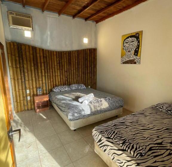 اتاق استاندارد, Punta Hills Montanita