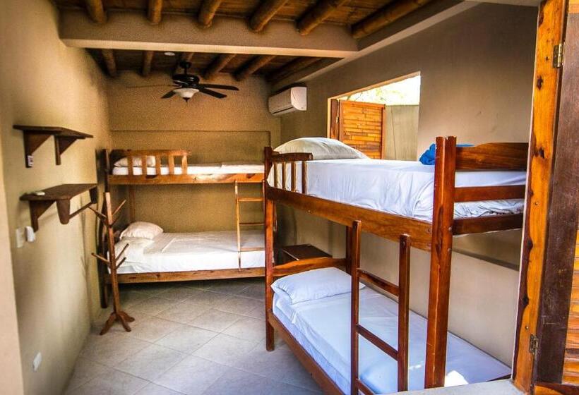 اتاق استاندارد چهار تخته, Punta Hills Montanita