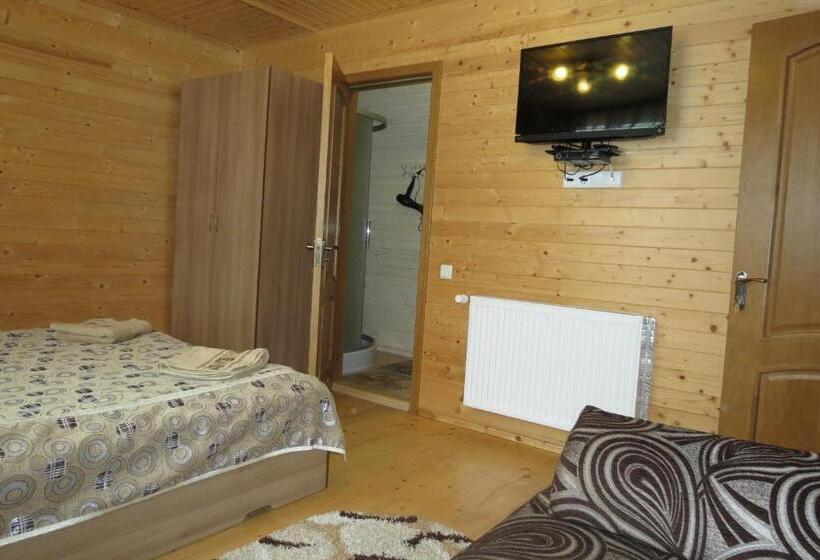 اتاق استاندارد با چشم‌انداز, Bilyy Kamin Guest House