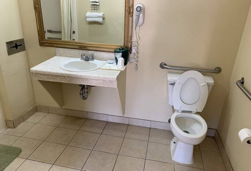 Номер Стандарт 2 Двуспальные Кровати, Western Motel
