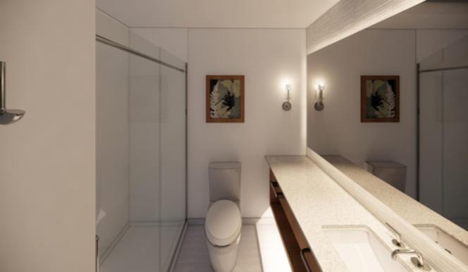 Номер Deluxe Кровать Кинг, White Mountain Hotel And Resort
