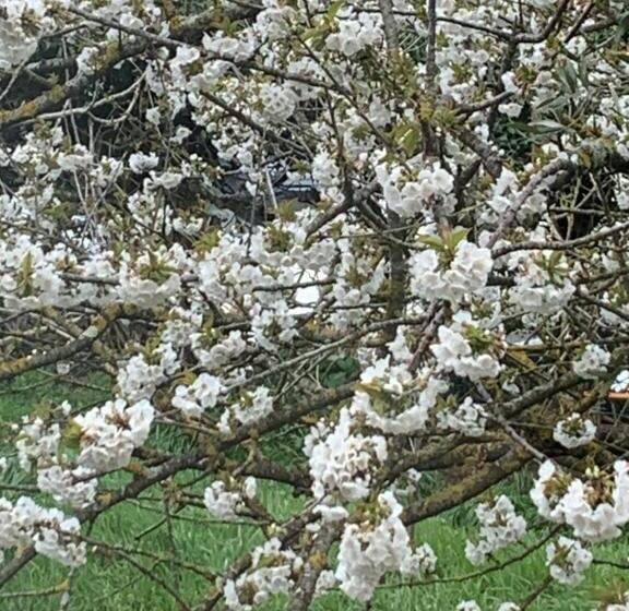 חדר סטנדרט נוף לאגם, Arturo & Trilly