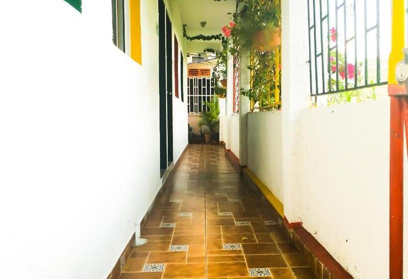 标准间, Posada Miss Joyce House