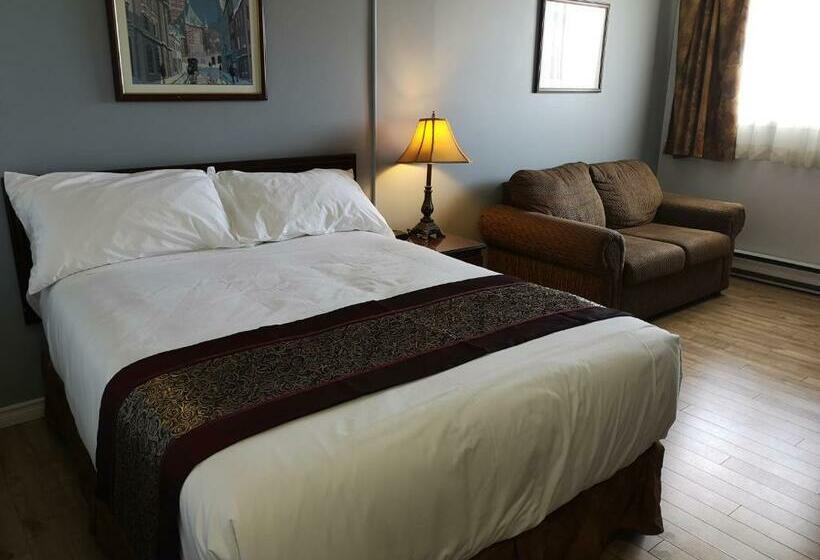 스탠다드 룸, Repotel Levis