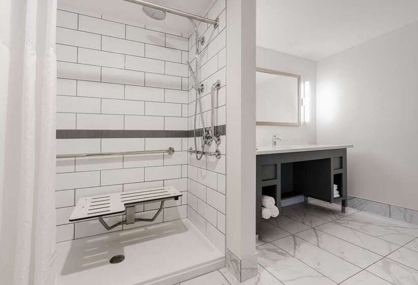 Номер Стандарт, Hilton Garden Inn Flint Downtown